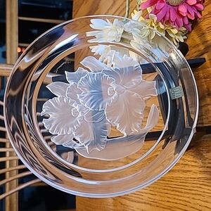 Beautiful Hoya Floral Plate